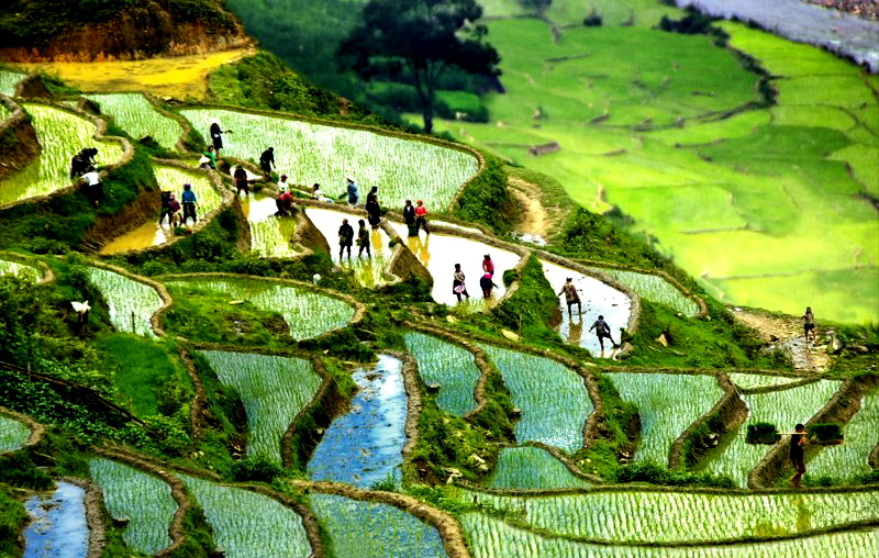 1-Day Sapa Trekking Tour to Cat Cat, San Sa Ho, Y Linh Ho Mong, Lao Chai San & Ta Van